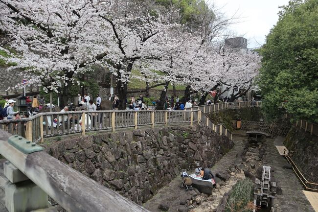 王子稲荷神社は、江戸時代から庶民に親しまれてきた東国三十三国稲荷総社の格式を持つ神社です。大みそかになると稲荷のお使いの狐が、わざわざ社近くの榎の下で、その身なりを整えてから初詣をしたという言い伝えが残っています。その言い伝えにちなんで、年末には地元の人々によって「王子狐の行列」が催されています。<br /><br />音無親水公園は、王子駅前に流れる石神井川(音無川)を整備しつくられた公園で、木橋、東屋、行灯、水車などを配する純和風のつくりが特長です。古くからの春の桜・夏の青楓と滝あび・秋の紅葉など四季の行楽の名所、景勝の地でした。アーチ型の優雅な曲線美を誇る音無橋が架かり、夜はライトアップされ昼とは違った趣を見せてくれます。