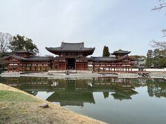 桜はまだの早春の京都。イノダの朝食と宇治平等院、そして竹林の小径、祇園の京おでん・　モクシー京都二条②