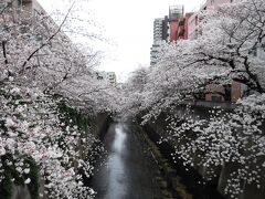 江戸川橋から高田馬場まで神田川に沿って歩いてみた（散歩です）