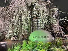 東京桜あちこち。花より団子！？