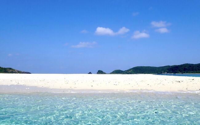 タイです。<br />沖縄 慶良間諸島 座間味島の無人島、安慶名敷島でシュノーケリングをしました。