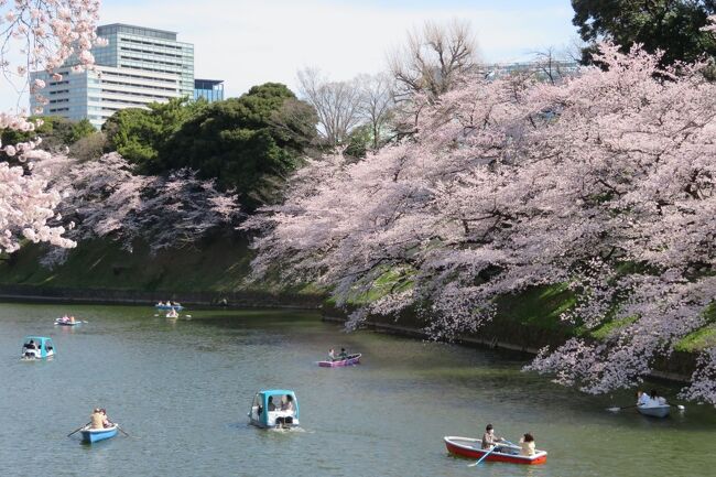 東京の桜「満開」の発表があったので、数か所の桜名所を巡ってきました。<br />