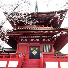 季節の花に逢いに行こう！桜に誘われて孝道山☆うなぎ食べたら、カオスの横浜・六角橋商店街をぶらり