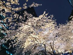 シニアトラベラー！都内夜桜満喫ドライブ