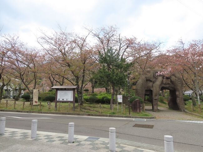 福井 小浜公園(Obama Park, Obama, Fukui, JP)