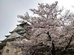 Ｂｙｅ　ｆｏｒ　ｎｏｗ　大阪　　Ｉ’ｍ　ｂａｃｋ　東京　　　　　　引越し　桜　春　新生活の始まり