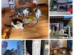 関東周辺寺社仏閣巡り、栃木編ではツイッターで猫と住職さんの食事風景が人気のお寺にも行ったよ