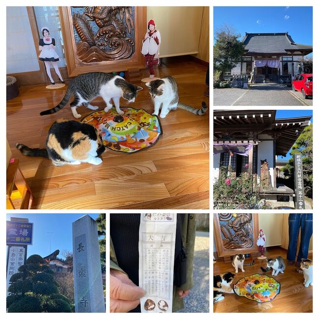 関東周辺寺社仏閣巡り、栃木編ではツイッターで猫と住職さんの食事風景が人気のお寺にも行ったよ