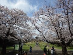 春爛漫　県立四季の森公園　