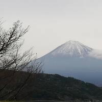 静岡　沼津　子連れ　年長　3日間　後半