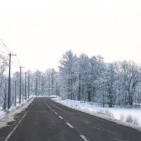 やっとこさの根室05: 鶴居で冬のホーストレッキング。腕が疲れて釧路の街なか温泉でととのう