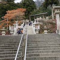 関東周辺寺社仏閣巡り、階段、階段、階段の江島神社と大山詣りはきつかった。