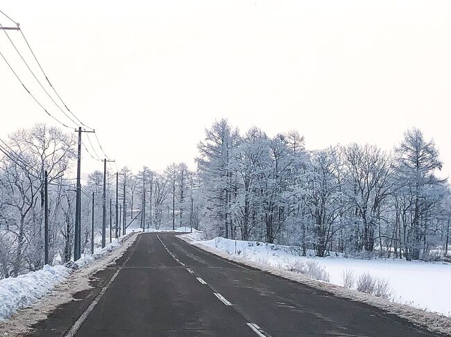 やっとこさの根室05: 鶴居で冬のホーストレッキング。腕が疲れて釧路の街なか温泉でととのう