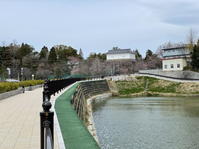 東海道を歩いて一気に制覇するのは時間的に難しい。<br />でも区間を決めて少しづつ何度も通いながら進めていけば制覇することは可能だ。京都に着くのはいったいいつになるかわからないが歩き始めることにした。<br />１９日目は四日市宿からとなる。