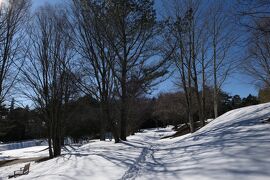 雪の軽井沢　優雅な冬旅♪　Vol.71 ☆ザ・ひらまつ・軽井沢御代田　森の美しい雪散歩♪