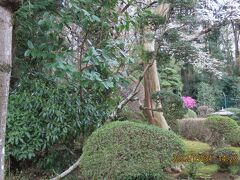 久し振りに多福寺を訪問②奥庭を垣間見る