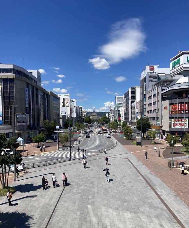 ⬜︎ 名古屋~姫路<br /><br />☆ 今回1番の目的は、兵庫県に1泊すること!<br /><br />以上です。。<br /><br />(表紙は ※ 姫路駅からの小さくて見えない姫路城)<br /><br />⬜︎ 8396㎢・ノジギク・クスノキ・コウノトリ・真珠装身具 @兵庫県<br /><br />… … … … … … … … … … <br /><br />⬜︎ 兵庫県/8396㎢ 花/ノジギク 木/クスノキ 鳥/コウノトリ 主な生産物/真珠装身具