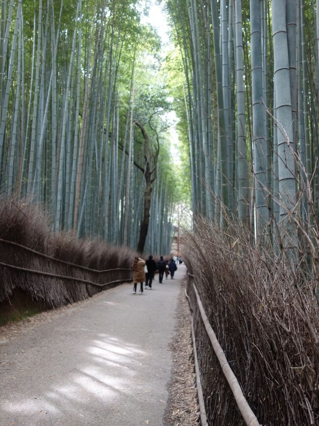 ランチをいただいたあと,嵐山を散策しました。大河内山荘へむかう竹林の道を歩きました。