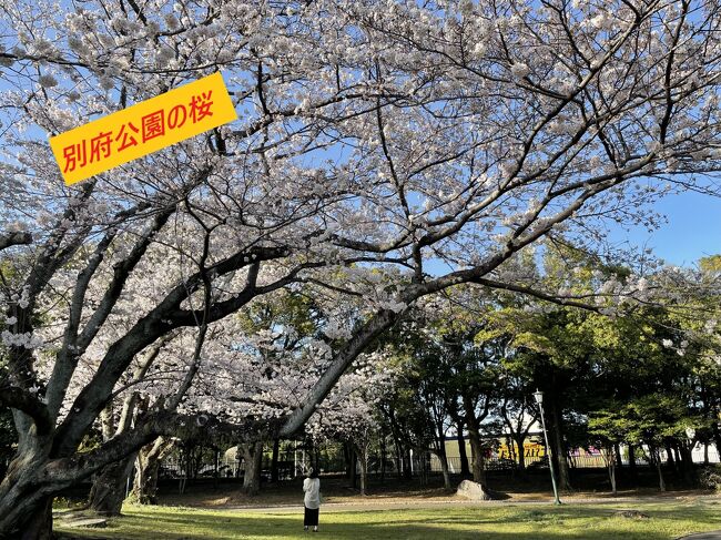 2022年03月　大分旅行1日目　別府公園と大分グルメ