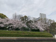 東本願寺名古屋別院（東別院）桜の咲く中でのマルシェ＆宮の渡しお花見クルーズとランチ。おまけで名古屋球場　