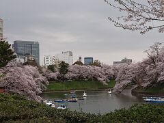 東京渋谷でアフタヌーンティー&#9749;。千鳥ヶ淵・靖国神社等の満開な桜を観賞&#127800;