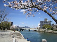 桜満開の広島に、岡山GO GOしてから桜咲き誇る広島へ