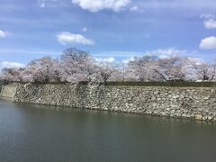 姫路城と龍野で1泊2日お花見ひとり旅