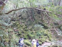 屋久島一人旅　自然と歴史にひたる旅③