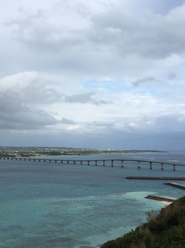 年末年始、島根の実家に帰省し、子どもは冬休みギリギリまで島根滞在。<br />いつ行くの？今でしょ！！ということで、母はこの隙に宮古島に行ってきました。<br />飛行機はマイル利用。<br />2泊3日で満喫してきました！