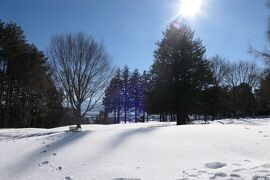雪の軽井沢　優雅な冬旅♪　Vol.76 ☆ザ・ひらまつ・軽井沢御代田　森の美しい雪散歩♪