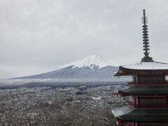 新倉富士浅間神社からの富士山と勝沼ぶどうの郷駅の甚六桜めぐりのバスツアー