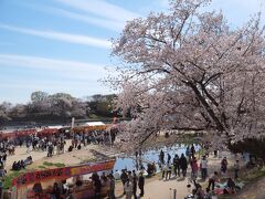 名鉄　展望席に乗って岡崎へ　岡崎公園の桜　グレート家康公「葵」　松應寺前横丁　Izakaya Ja Nai !!で地ビール飲んで夜桜も見よう