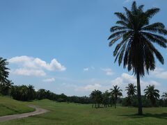 真夏暑さ続くPattaya長期滞在者達とゴルフ＆町歩き日記　4月上旬/2022