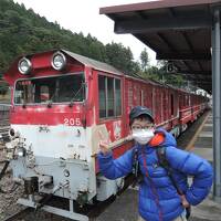 孫と行った、桜と梅が満開の東海道線、大井川鐵道、アプトライン　終点の井川まで行くなら弁当は必携