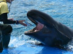 美ら海水族館　～　恩納村（ムーンビーチサンセット）　そして読谷をめぐる