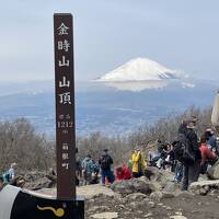 娘夫婦と金時山