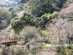 熱海梅園と美術館