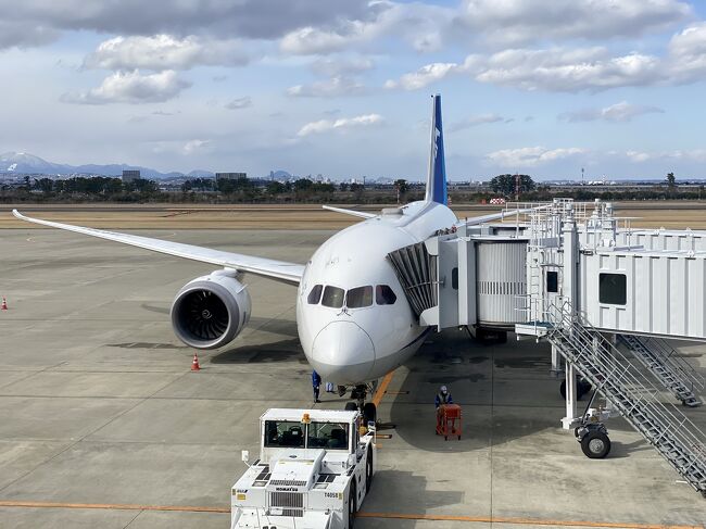 常磐線に乗りたくて企画した仙台旅。<br />常磐線は運休。<br />東北新幹線も運休。<br />旅の翌日は東京で所要があるので、<br />仙台ー羽田の臨時便を予約。<br /><br />東北新幹線の運休に伴い、<br />仙台ー羽田に臨時便を飛ばしてくれたANAに感謝。<br />飛行機代はコロナで貯まっていたSKYコインを投入。<br /><br />3日目は、午後の便で羽田に向かいます。<br />機材はB787。<br />それも国際線機材の78M。<br />楽しみすぎて、手が滑ってプレミアムクラスにしてしまいました。<br /><br />1日目 仙台泊 大好きな居酒屋ちょーちょへ<br />2日目 仙台泊 仙台にオープンした野乃泊<br />3日目 臨時便ANA1506 仙台ー羽田