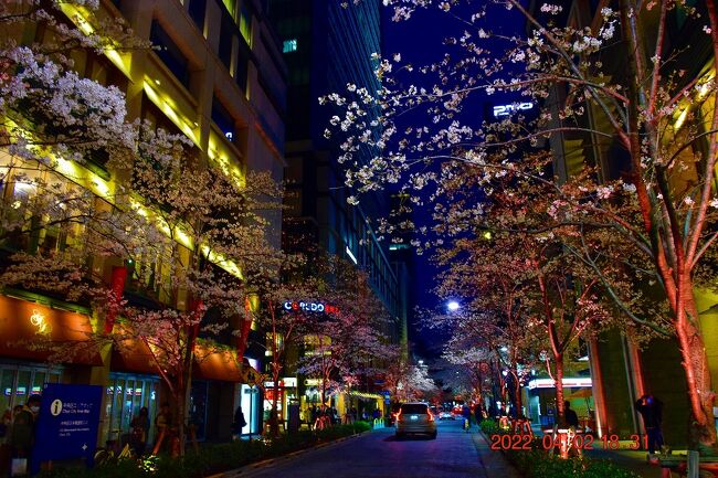 Sakura Fes Nihonbashi 22 に行ってきた 日本橋 東京 の旅行記 ブログ By Jh2fxvさん フォートラベル