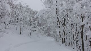 ドカ雪と温泉を求めて山形へ　６．蔵王温泉スキー場でかんじきスノーハイク