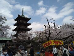 母を連れて上京・上野公園