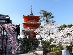 2,022年京都の桜巡り２（清水寺～哲学の道）