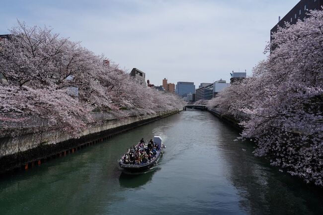 ４月最初の週末、今年最初の花見をしに、深川を訪れた。今回は、仙台堀川と大横川の桜を観た後、最後に、下町の小さなワイナリーを訪ねた。<br /><br />（2022.04.09投稿）