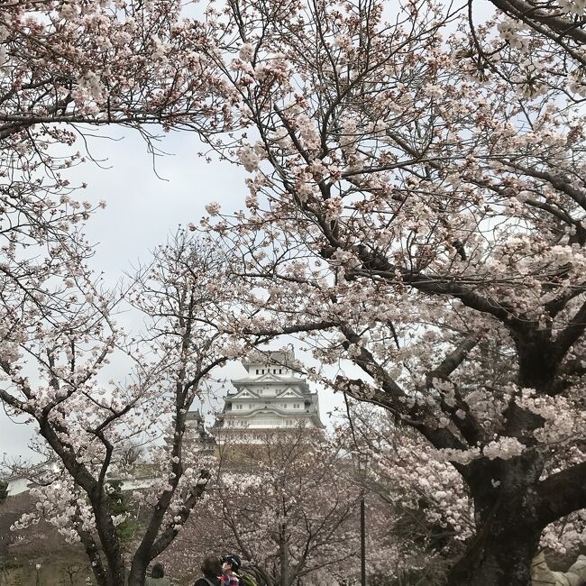 2度目の神戸初姫路城