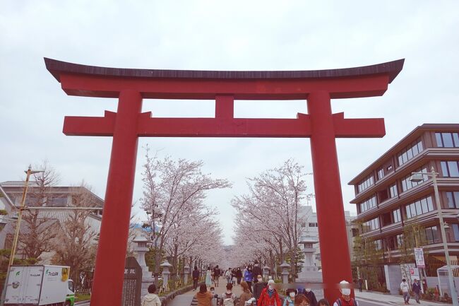 まん延防止処置が解除されたので<br />久しぶりにお出掛けしようと<br />大河ドラマ旅行を再開!!<br />(1弾真田丸は未だにupできてないですが(^^;;)<br /><br />まずは軽めに日帰りで♪<br />鎌倉の大河ドラマ館へ行ってきました<br />(私は自分のカメラを忘れる失態;;涙)