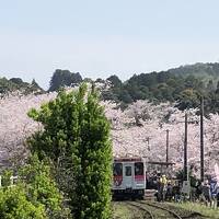 マダムの春旅イン博多・佐賀・小倉・行橋　④　２日目の２　松浦鉄道～佐賀～博多