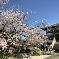 マダムの春旅イン博多・佐賀・小倉・行橋　⑦　５日目　小倉～行橋～小倉