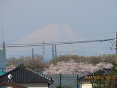 久し振りに見られた富士山