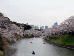 東京２０２２桜　【３】皇居１