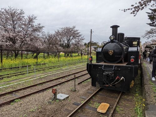 市原ナンバープレートに描かれた菜の花畑と房総里山トロッコ